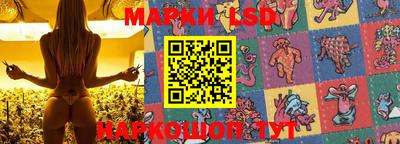 a pvp Кандалакша