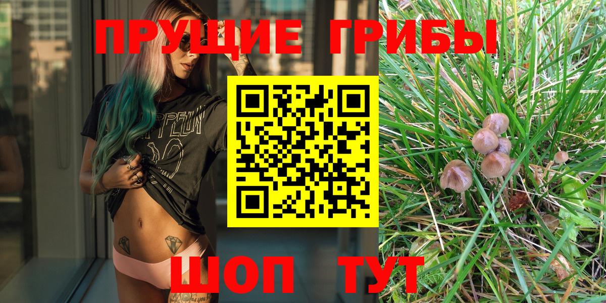 Конаково  Псилоцибиновые грибы Psilocybine cubensis  Вход с VPN 